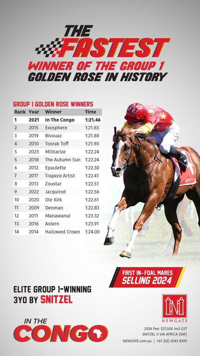 The Fastest Winner of the Group 1 Golden Rose in History ⚡ 💥 In The Congo 💥 Elite Group 1-winning 3YO by Snitzel ➡️ @NewgateFarm ➡️ newgate.com.au/horse/in-the-c…