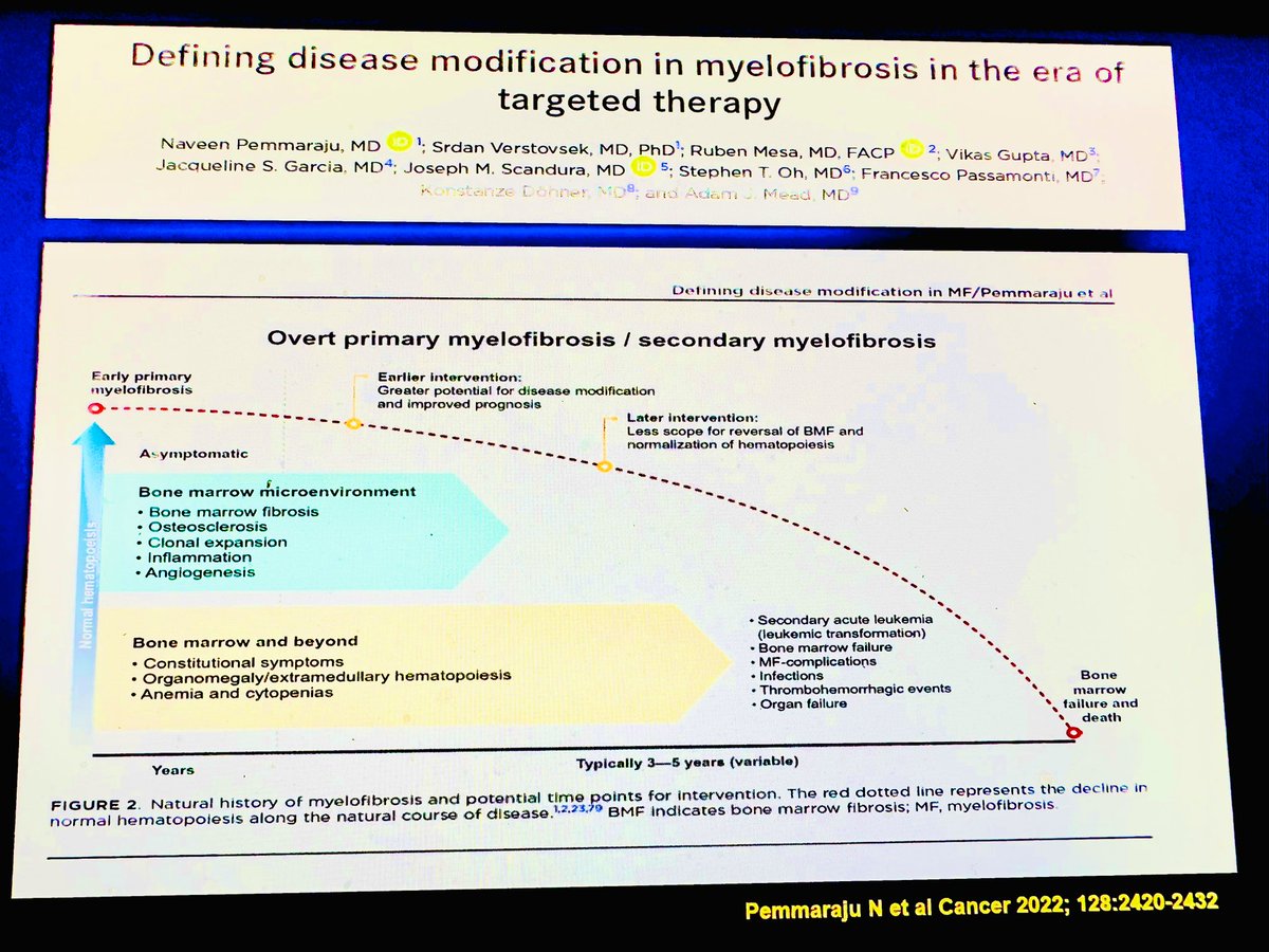 👉👉👉Let’s discuss new definitions, new approaches & new 💡 for #DiseaseModification for this new era of targeted therapies as we begin to move beyond JAKi monotherapy for patients with #Myelofibrosis | #MPNSM | @mpdrc @mpndoc @AdamMead_Oxford  @Vikas_Gupta_1 @mtmdphd