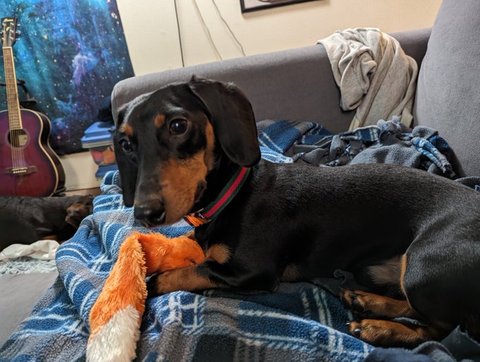 Did a few errands, I did some Spanish while he's been cleaning up the kitchen. Not really sure what else<a href="/tag/valentinesday"class="tags"><span>#valentinesday</span></a>