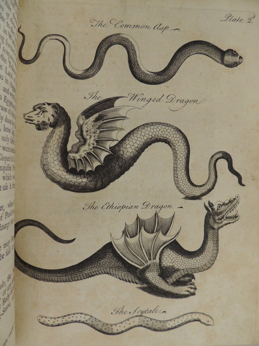 'Mythical' Creatures Published in Old Zoology Textbooks. These images were found in zoology textbooks from the 1600s and 1700s. In these texts we find images of creatures resembling mermaids, two-headed snakes, winged dragons, a basilisk, and various sea serpents.