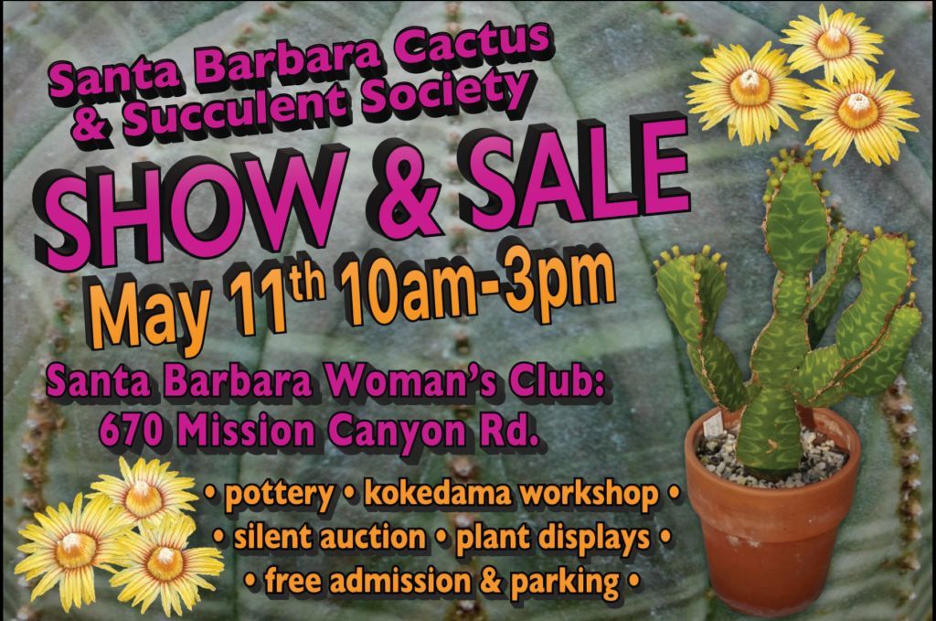 📅 May 11 10am - 3pm | #SantaBarbara Cactus and Succulent Society Show & Sale at Rockwood buff.ly/3pZQbaS Explore an extensive sales area with plants for novice to expert, ceramic pots for sale, local plant vendors, kokedama workshops, cactus and succulent display tables
