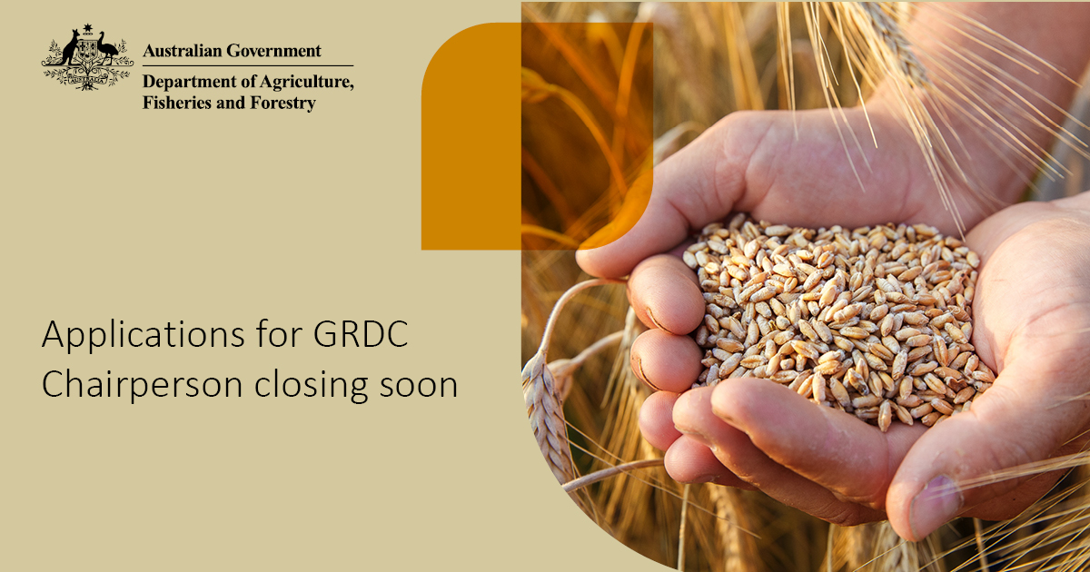 Applications close this Sunday 12 May for the Grains Research and Development Corporation (GRDC) Chairperson position. Find out more and apply here: brnw.ch/21wJwy1