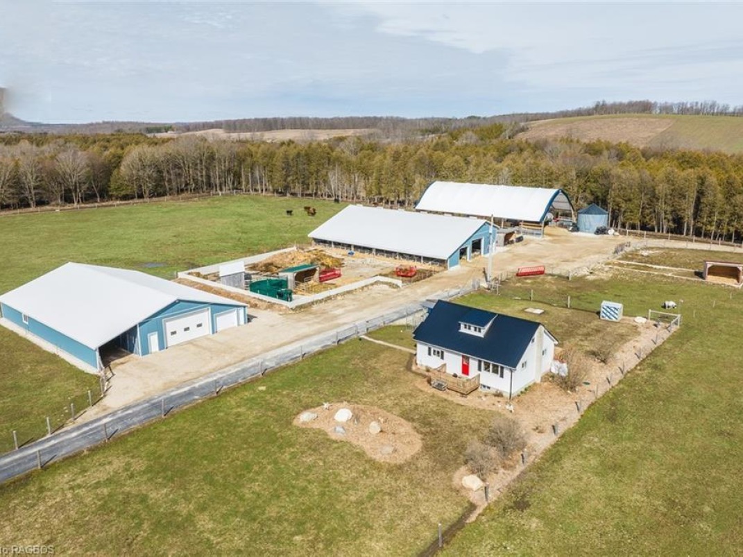 *METICULOUS, VERSATILE* BEEF FARM FOR SALE!
farmmarketer.com/listing/fm/178…

Farm Type: Beef/cattle
Acreage (Total): 98
Province: Ontario
Agent: Siebren Boersma

#Findyourdreamproperty #farmmarketer #cdnbeef #cattlefarming #cattle #proudlycanadian #canadianbeef #farm365 #agproud