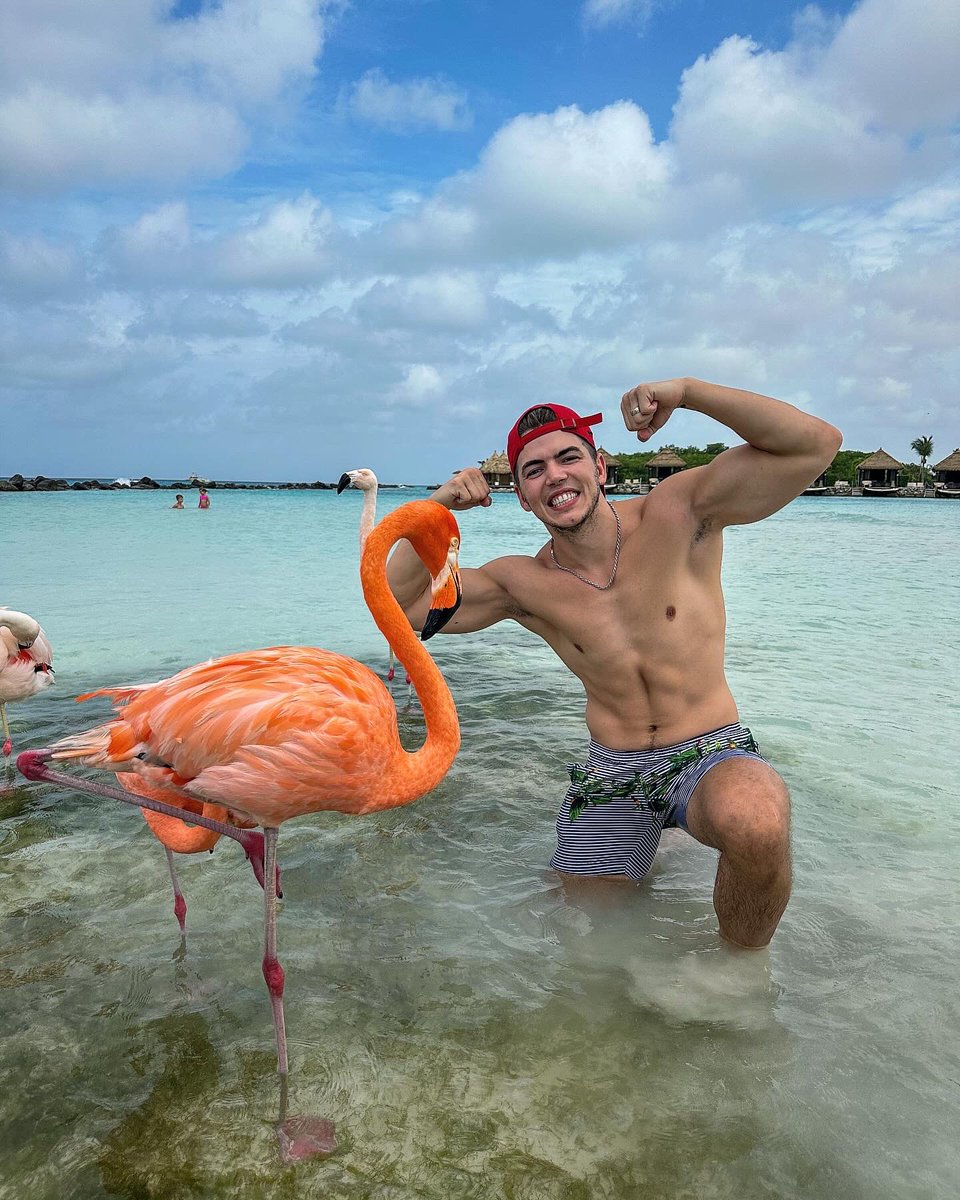 Flamingo Beach 🦩