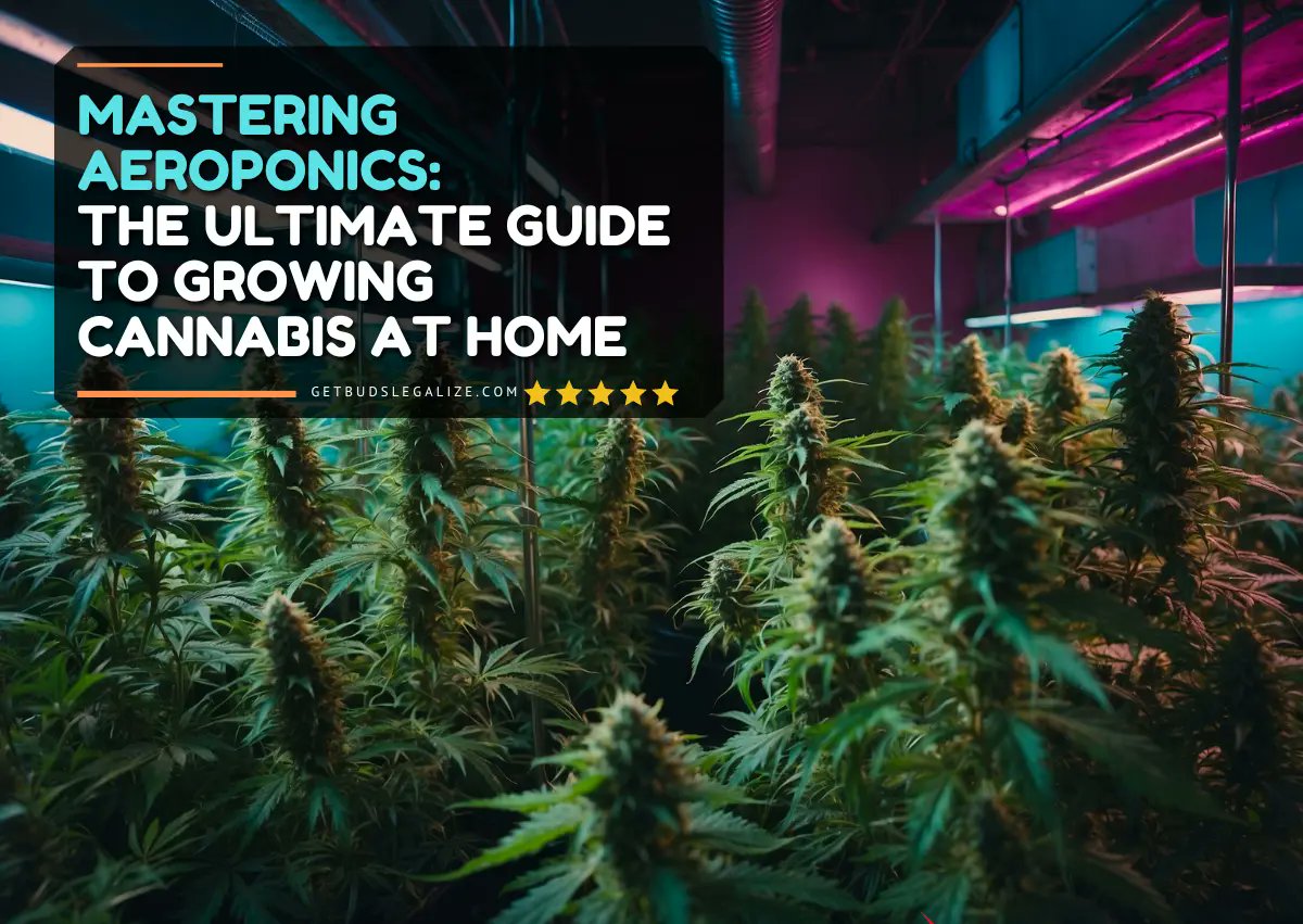 Mastering Aeroponics: The Ultimate Guide to Growing Cannabis at Home getbudslegalize.com/complete-growi… 
#Aeroponics
#GrowYourOwn
#UrbanFarming
#Hydroponics
#IndoorGardening
#GrowWithTech
#GreenThumb
#SustainableLiving
#PlantScience
#ModernFarming