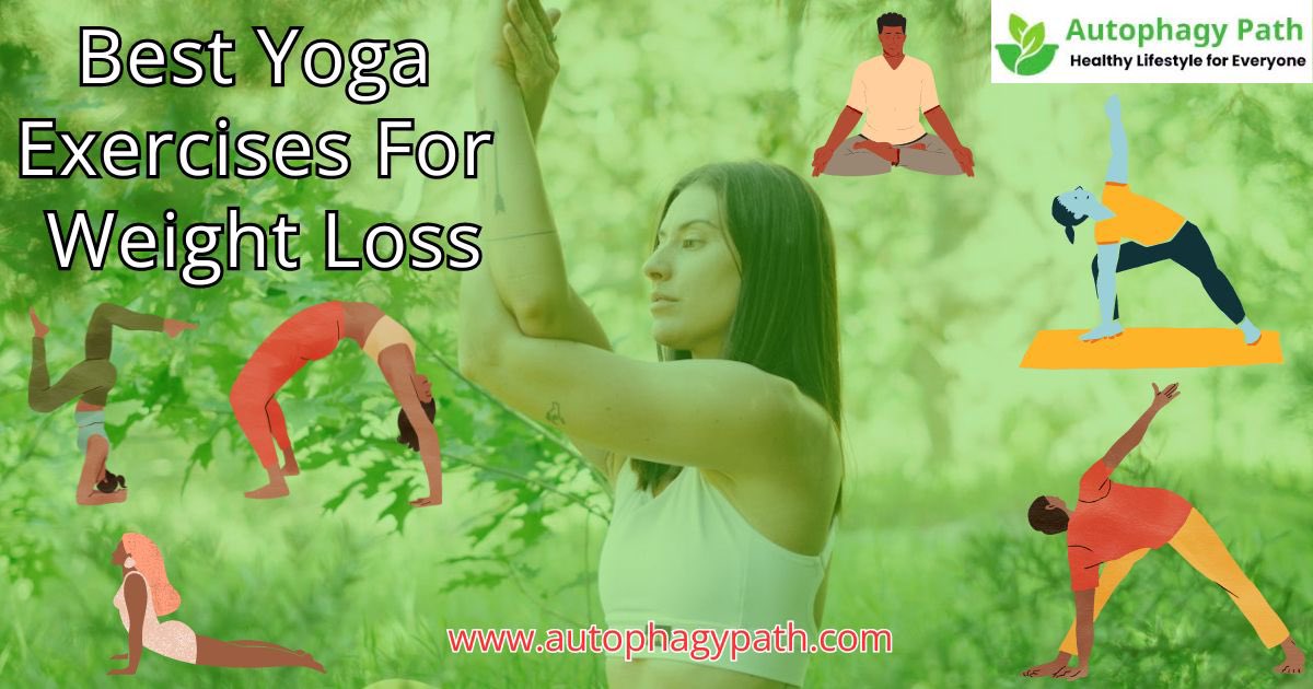 A blog post titled *8 Best Yoga Exercises For Weight Loss* was published yesterday. ➡️The Connection Between Yoga, Weight Loss, and Overall Health ➡️Exploring Different Types of Yoga Exercises for Weight Loss U can check this BLOG Post now.. autophagypath.com/8-best-yoga-ex… #autophagy