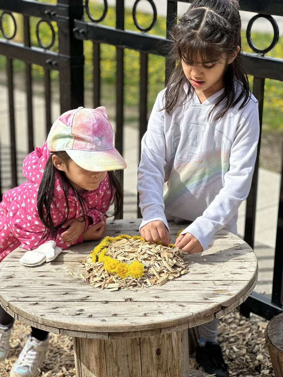 Dandelions are the perfect pop of colour in the mud kitchen! 🌼