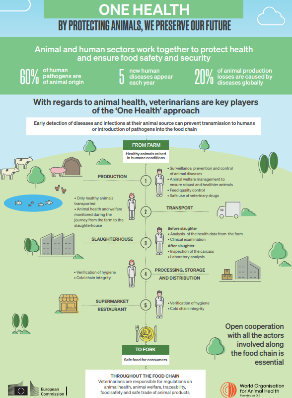 Do you know what the #OneHealth approach is? 

#HumanHealth 🧑‍⚕️👩‍⚕️, #AnimalHealth 🐃🐘🐎, and #EnvironmentalHealth 🌳🌿 are interdependent and bound to the health of the ecosystems in which they exist.

That's why we need this approach to eradicate #Rabies🐕 and mitigate #AMR 💊.