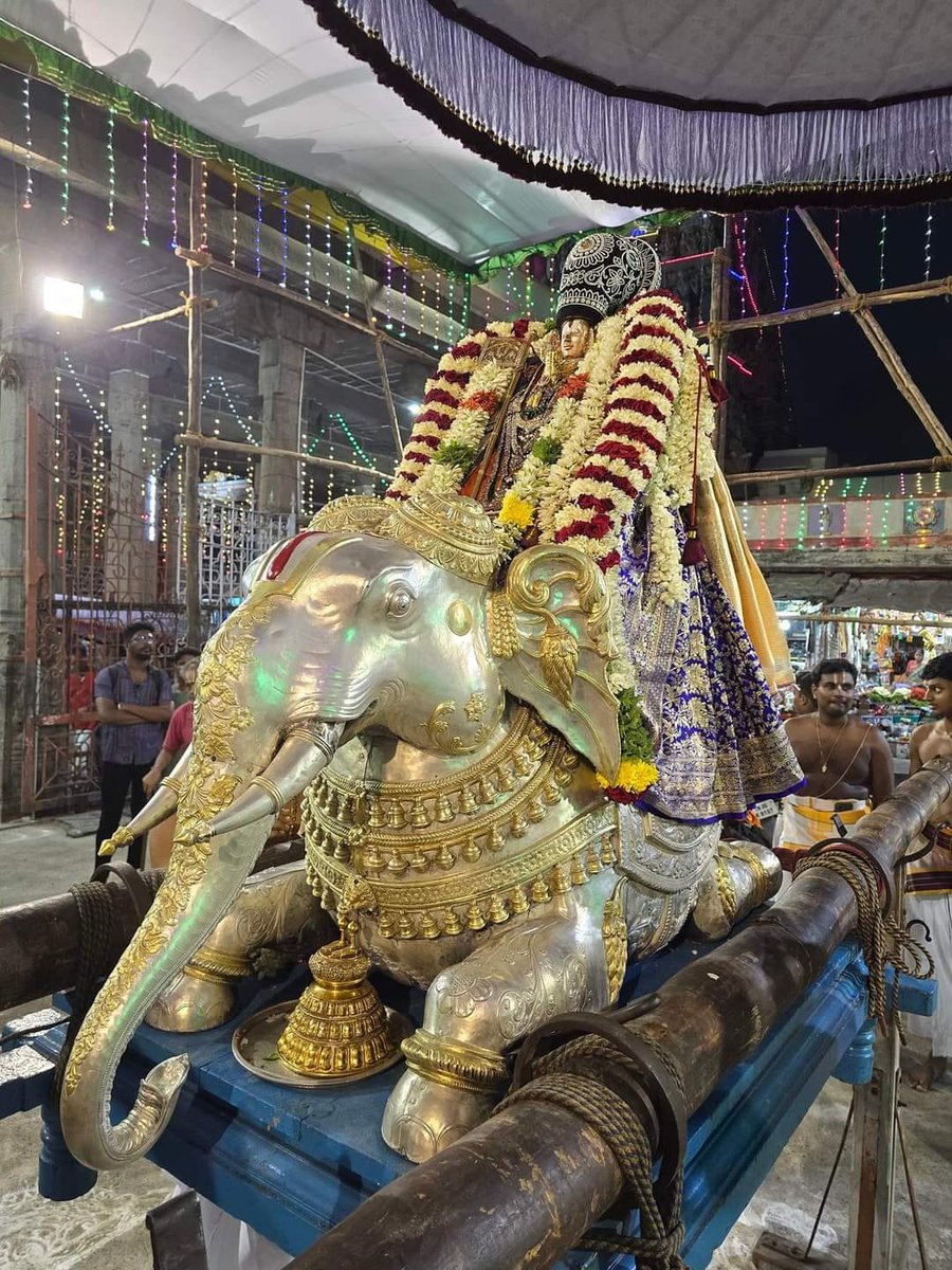 Swamy Ramanujar in Yaanai Vahanam Sri Parthasarathy Perumal Thirukovil