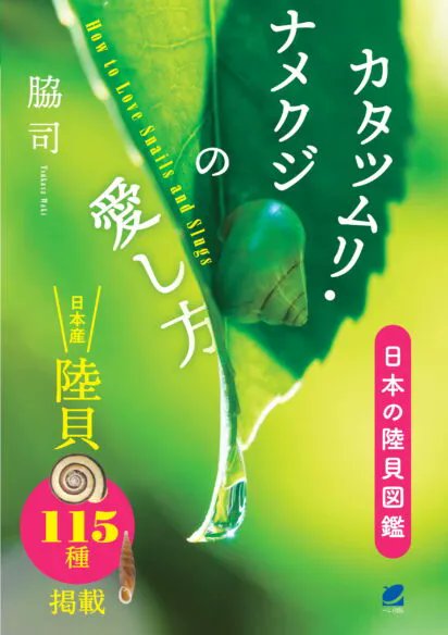 陸貝への愛が溢れる一冊 『カタツムリ・ナメクジの愛し方　日本の陸貝図鑑』 脇司🐌beret.co.jp/book/46257 著者は貝類の寄生生物の研究者で、筋金入りの陸貝コレクター。そんな著者が、生態から飼育方法までわかりやすく解説します。 べつやくれいさんの飼育体験マンガも必見です！ 🚩好評発売中