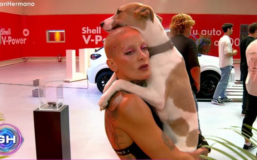 imaginettpd's tweet photo. ahora se hace la que abraza a arturo, ya te vimos nefasta #GranHermano https://t.co/CNBfwYiUEe