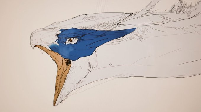 「beak white background」 illustration images(Latest)