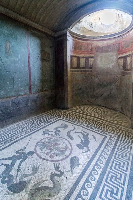 YERDEKİ MOZAİKTE YAKALANAN DENİZ KIZI TASVİRİNE DİKKAT‼️
Menandro Hanedanı, Pompeii yüksek rütbeli bir ailenin evinin tipik örneğini temsil eder. Atriyum İlyada ve Odyssey'den sahnelerle fresklenmiştir. İçeride resim ve mozaiklerden oluşan bir hazine bulundu. Burada caldarium'da…