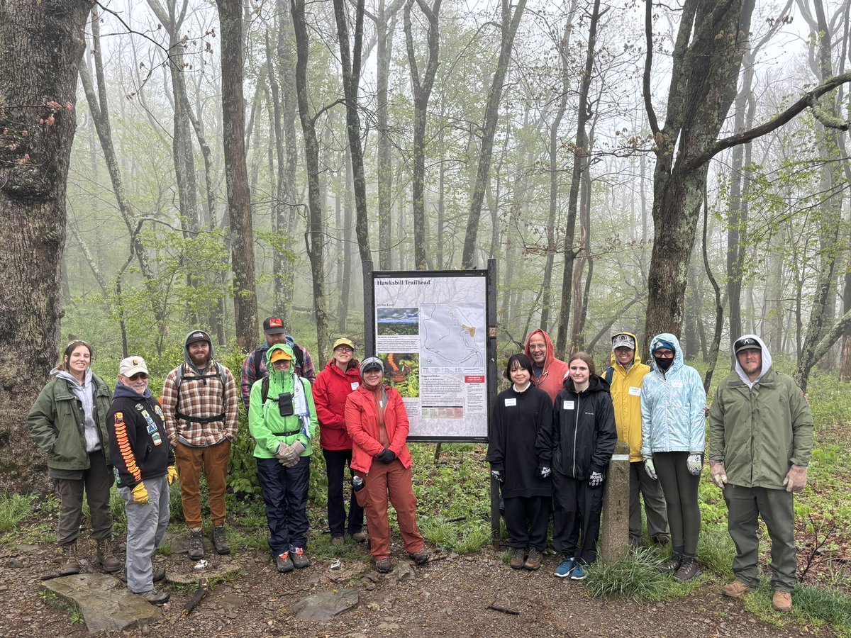 Volunteers from @AMC_Potomac united to maintain Shenandoah's Lower Hawksbill Trail, protecting delicate ecosystems and connecting with nature. 🌿🥾 Thank you for your dedication to conservation!  #ConservationMatters @AppMtnClub @_NatParkService