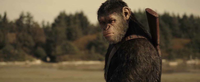 The Planet Of The Apes(2010s) trilogy is an all-timer franchise. A well-written cautionary tale and paralleled narrative between the beauties/ destructive nature the of two races. The evolution of Ceasar makes him one of the best movie characters ever.