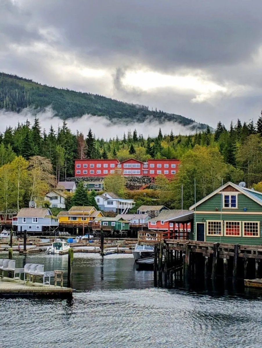 🇨🇦 🍁 Telegraph Cove on Vancouver Island is one of the most picturesque villages I've ever seen. And one of the best places in the world to see Orca whales

#canada #BritishColombia #vancouverisland #telegraphcove #whalewatching #vancouverislandbc #Vancouver #ExploreBC