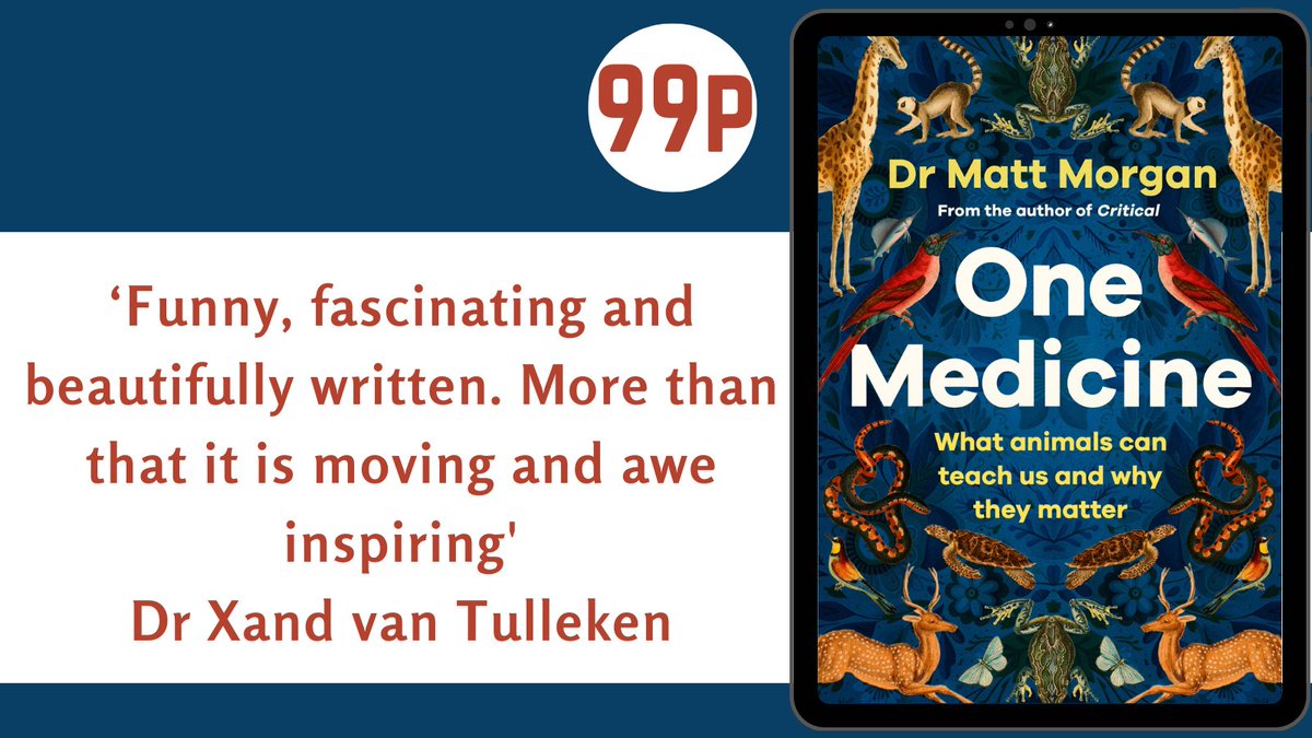 'A fun and fascinating dive into the physiology of the animal kingdom and what it means for the medicine we practise' Kevin Fong The engaging #OneMedicine by @dr_mattmorgan is 99p now! amzn.to/3WkmeRj