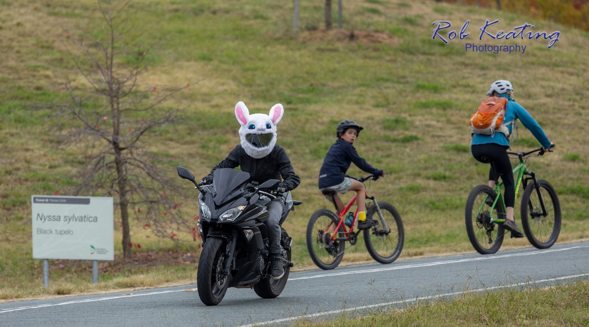RobKeating's tweet image. Photos from the International Female Ride Day in Canberra. It was the 18th annual ride. #ifrd #internationalfemalerideday #justride #IFRDEveryWoman #canberra #canberrariders #motorcyclephotography
More photos can be viewed at
robkeatingphotography.com/Motorcycles/In…