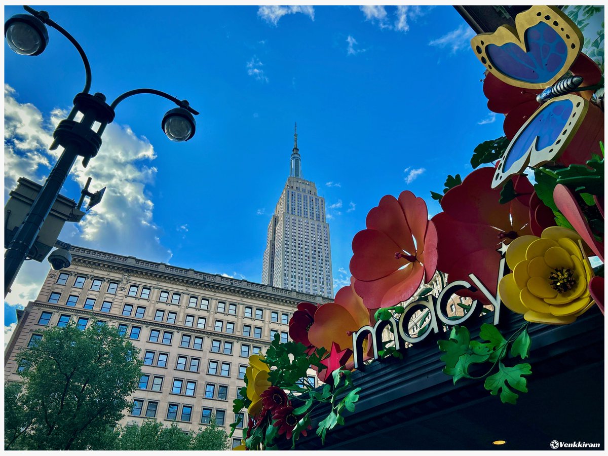 Looking up!

Mine, 👇

#Macys #flowers #butterfly #manhattan #EmpireState #EmpireStateBuilding #decoration #architecture #design #CityLife #NewYorkCity #Photography #venkkiclicks