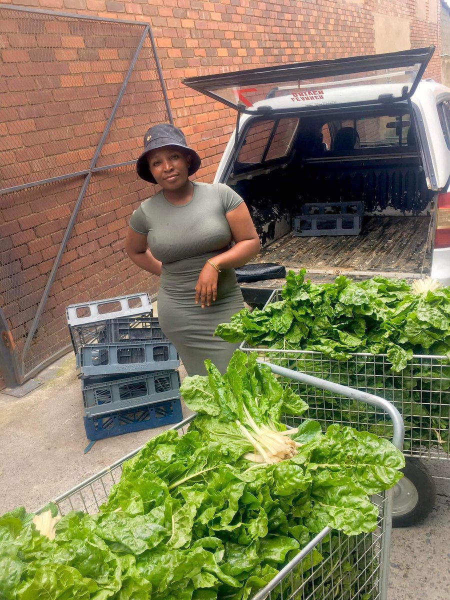 My name is Hlela Ncamisile, I’m a #farmer & founder of Mkako Farming from Estcourt in Hlathikhulu. I’m producing cabbage, spinach & potatoes on a 4-hectare plot. I am supplying Boxer, Mackson, street vendors & local supermarkets. 📞 0714352059 #farming #Agriculture #agribusiness