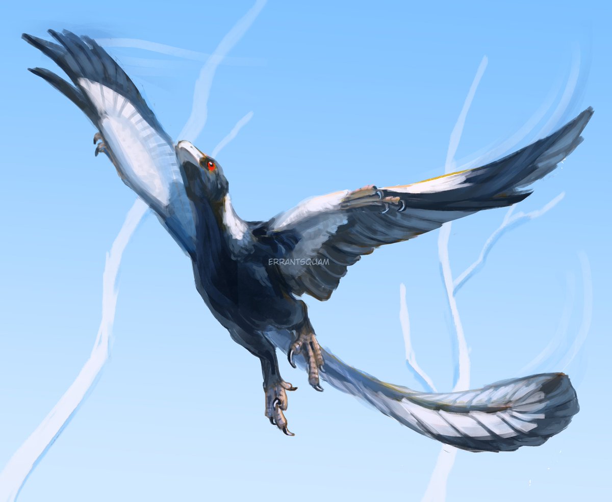 archaeopteryx 
#paleoart