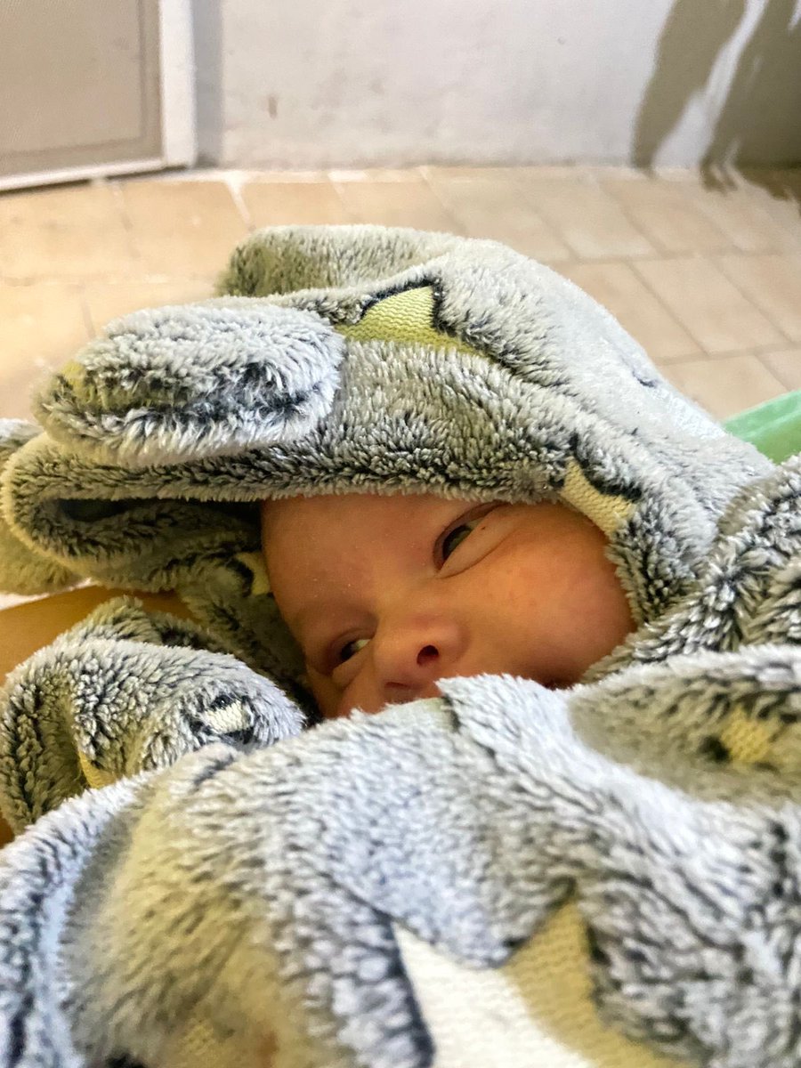 Ya casi 1 mes de recién nacido 🥺😍❤️