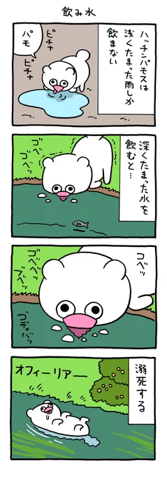 絶滅寸前の動物ハッチンパモス「飲み水」 qrais.blog.jp/archives/27935…