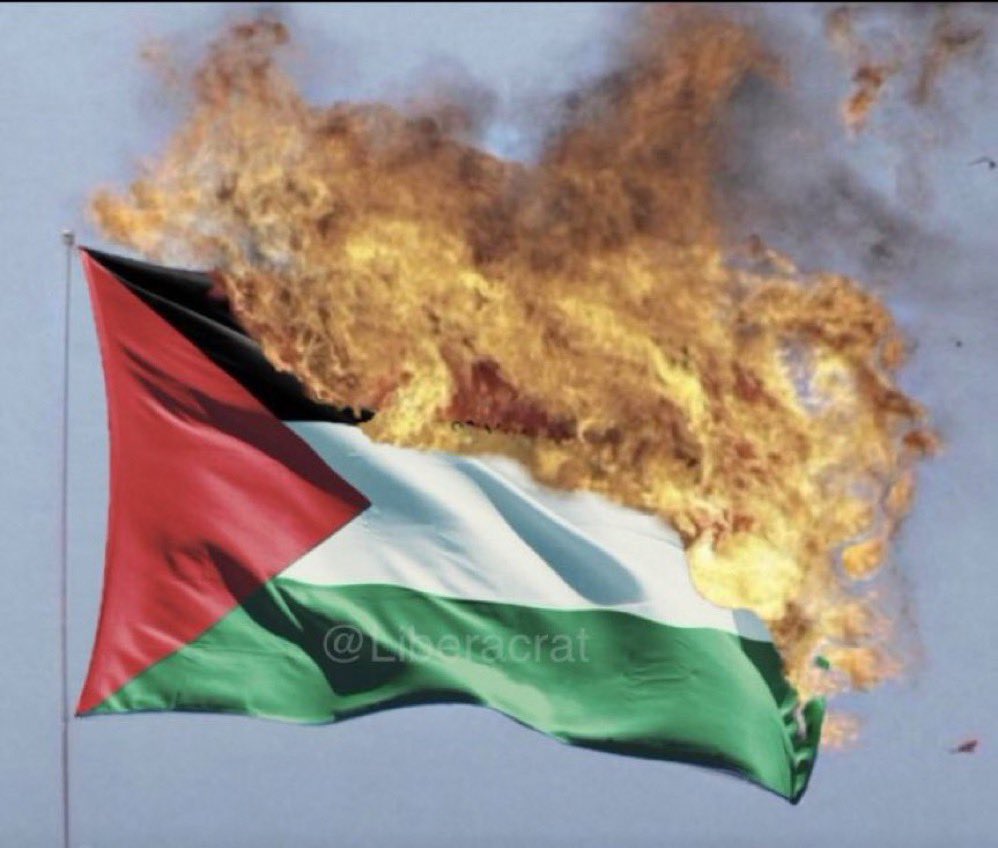 Dear #FreePalestine people, 
You suck. 
Please leave America and other western nations you are attempting to destroy and don’t come back. Until then, this is how we feel about your allegiance to your new flag. You won’t change our minds. 

Signed, 

Patriots everywhere.