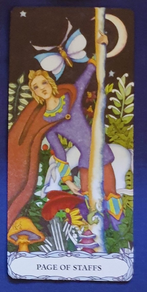 #followthewhiterabbit 
Wonderful news... yes
Finally you realize that you are an incredible being
Glad you caught up with the rest of us who have known for a while how amazing you are.
So remember you are lived when the darkness comes knocking.
#Rabbittribe 
#intuitvetarot