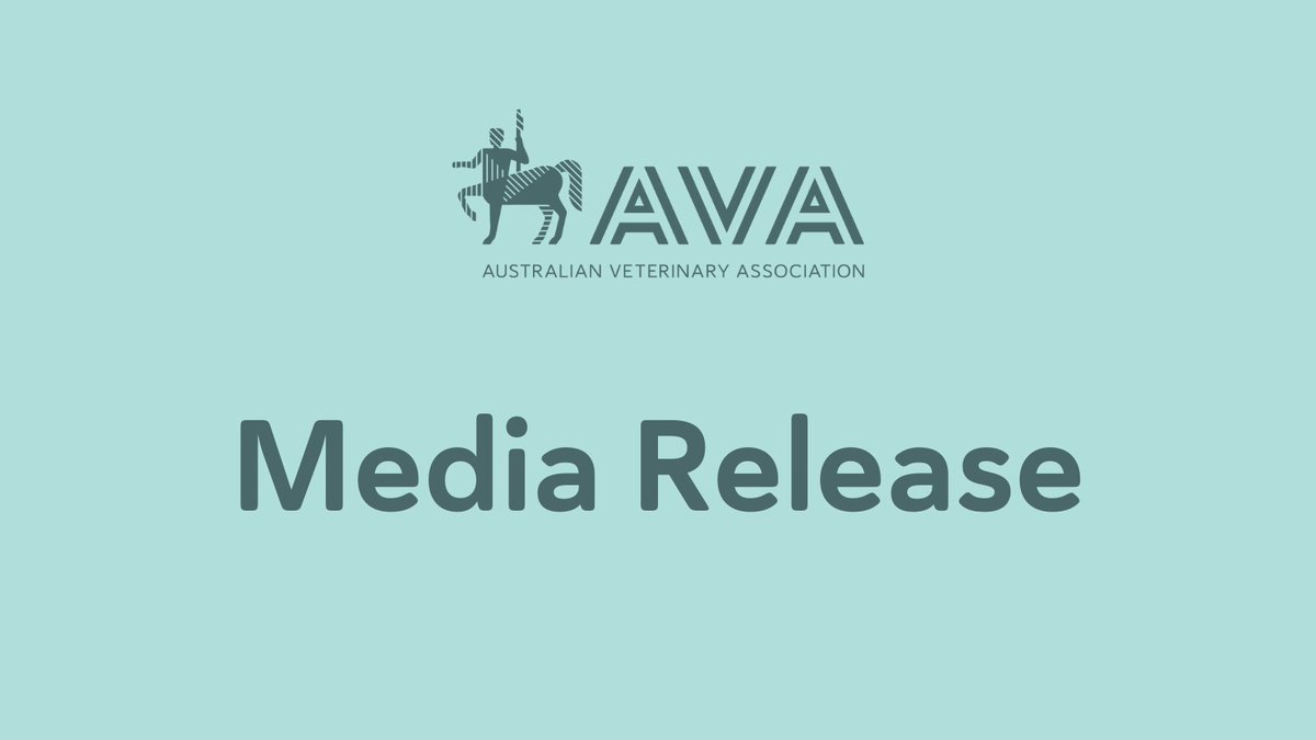 Essential nature of veterinarians’ work ignored by Federal Government. “For the approximately 3,000 veterinary students in Australia, this will be a huge blow.'
Read more 👉 ava.com.au/media-centre/m…

#educationfeerelief #vetsareessential #ruralvets  #auspol #federalbudget