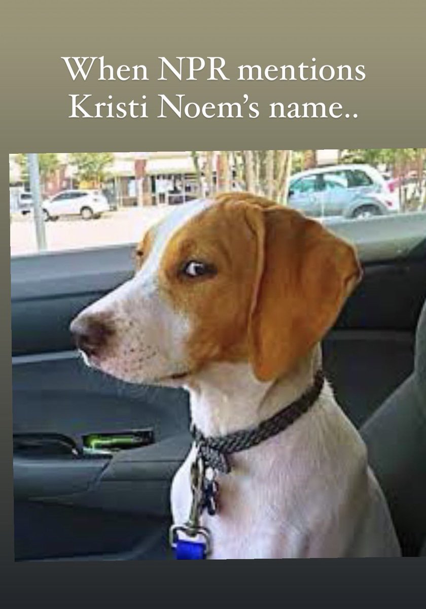 GAntalics's tweet photo. @KristiNoem @NPR #KristiNoemsDog #Gravelpit #KristiNoemIsAPsychopath #KristiNoemIsAMonster https://t.co/HYjAXQjdfy