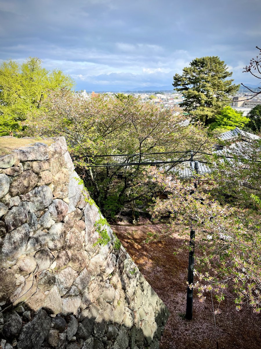 4月中旬の三重県ドライブは津市美杉町の三多気の桜、松阪市の道の駅 飯高駅、松坂城跡（松阪公園）。

祖父の故郷がどんな所かなーと思い行ってみたら、のどかな山村ってな感じで素敵な風景が見れて気に入りました。15日くらいに行ったけどまだちょこっと桜も見れてよかったです。