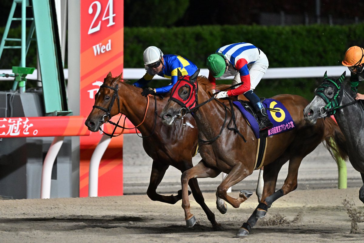 2024年4月25日　大井競馬　11R　第38回 東京プリンセス賞 SⅠ
1着　6番　フェルディナンド　牝3　騎手　安藤洋一
Nikon Z 8　NIKKOR Z 180-600mm f5.6-6.3 VR
600mm　AF-C　ダイナミックAF(M)　手ブレ補正 ON(スポーツ)
f/6.3　1/1000秒　ISO 8000
7956×5304にトリミング