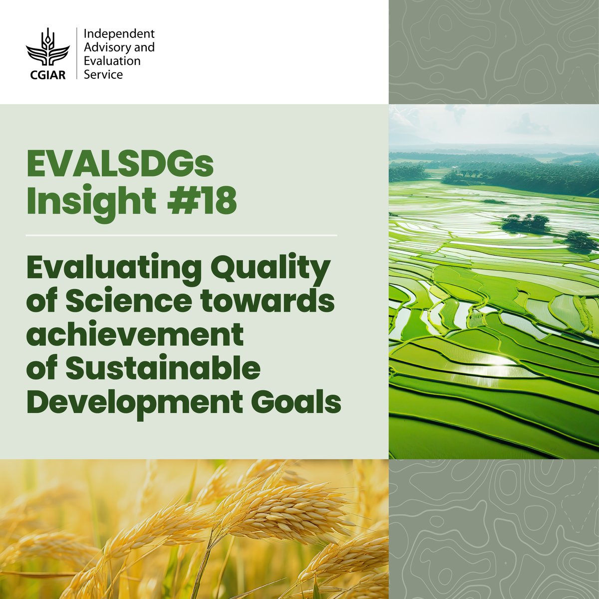 🔬 Science is crucial to help meet the challenges for sustainable development but evaluating its quality towards achievement of #SDGs is complex.  

New #EVALSDGs Insight by <a href="/CGIAR/">CGIAR</a>'s IAES and <a href="/ScienceMetrix/">Science-Metrix</a> proposes a clear and structured approach 👉 bit.ly/3xNZVZT