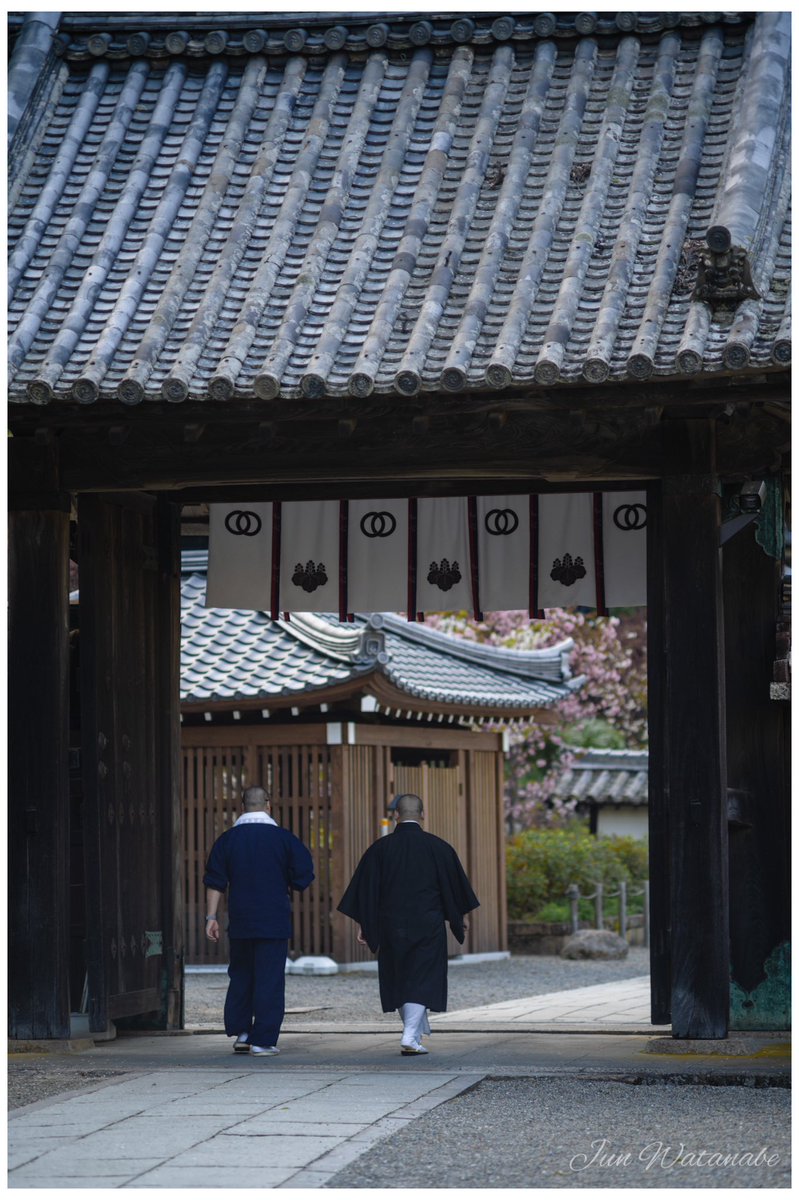 Camera:SONY α7III Lens:Super-Multi-Coated TAKUMAR 135/2.5 (late model) #temple #landscape #landscapephotography #photograghy #photographer #oldlens #寺 #長谷寺 #奈良 #オールドレンズ #写真好きな人と繋がりたい #カメラ好きな人と繋がりたい #キリトリセカイ #ファインダー越しの私の世界