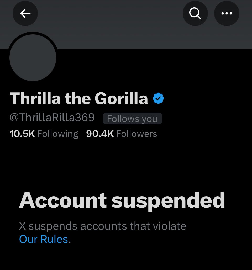 @elonmusk Another one has been suspended for no reason: