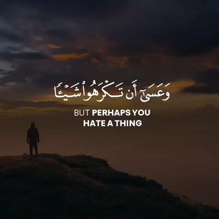 .
But Perhaps You Hate A Thing *
.
#Quran #VerseOfTheDay #REMINDER