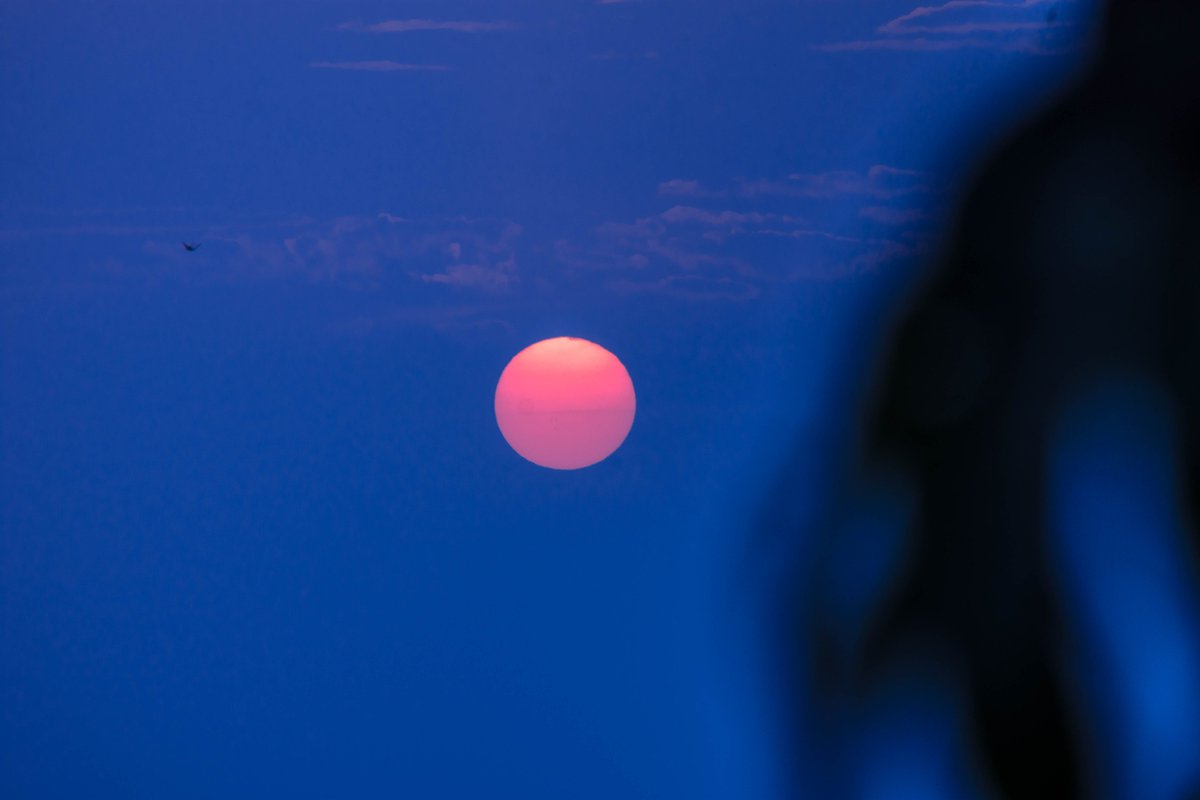 ¡Qué chulada de sol! ¡Me  e n c a n t a! 🌞 🌿 🍃
#sunsetlover #skyphotography
#NaturePhotography  📷