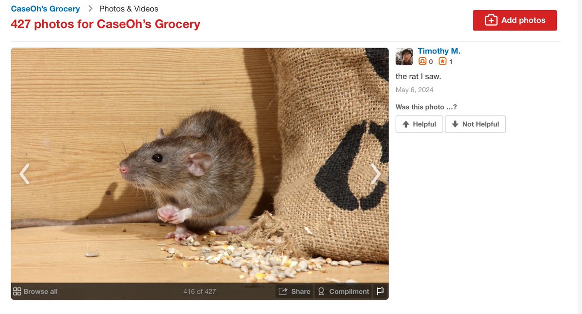 CasesStorageRat's tweet image. Who tf saw me, took my picture, and made me apart of there review? yelp.com/biz_photos/OM2… #caseoh #CaseohsGrocery