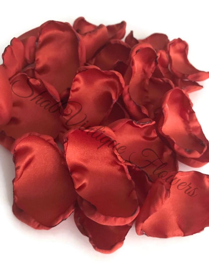 🍂 Add a touch of autumn elegance to your special day with our Burnt Orange Flower Petals! Perfect for flower girls, rustic weddings, or… dlvr.it/T6Wd3V #weddingcolors #bridal #weddingdecor #weddingplanning #weddingplanner #weddingdetails #couplegoals #bettertogether