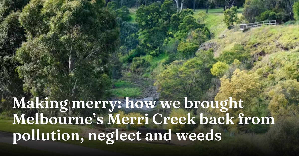 'As we grapple with bad environmental news every day, we need to tell stories of ecological restoration – to speak of what’s possible & also what’s not.' @BushJude writes on returning biodiversity to Merri Creek, a haven to many, for @ConversationEDU → unimelb.me/3Ww6ASJ