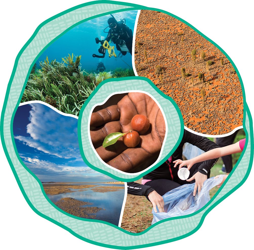 NESP Resilient Landscapes Hub (@nesplandscapes) on Twitter photo We're hiring! 🔍
The hub is hiring 2 full-time roles based at UWA's Crawley Campus in Perth. Please share! ➡️
🌱 Research Communications Officer:
external.jobs.uwa.edu.au/cw/en/job/5173…
📝 Business Manager:
external.jobs.uwa.edu.au/cw/en/job/5173…
<a href="/NESPmarinecoast/">NESPMarineandCoastalHub</a> <a href="/nespclimate/">Climate Systems Hub</a> <a href="/UWAresearch/">UWA Research</a> <a href="/uwanews/">UWA</a> <a href="/DCCEEW/">DCCEEW</a> We're hiring! 🔍
The hub is hiring 2 full-time roles based at UWA's Crawley Campus in Perth. Please share! ➡️
🌱 Research Communications Officer:
external.jobs.uwa.edu.au/cw/en/job/5173…
📝 Business Manager:
external.jobs.uwa.edu.au/cw/en/job/5173…
<a href="/NESPmarinecoast/">NESPMarineandCoastalHub</a> <a href="/nespclimate/">Climate Systems Hub</a> <a href="/UWAresearch/">UWA Research</a> <a href="/uwanews/">UWA</a> <a href="/DCCEEW/">DCCEEW</a>