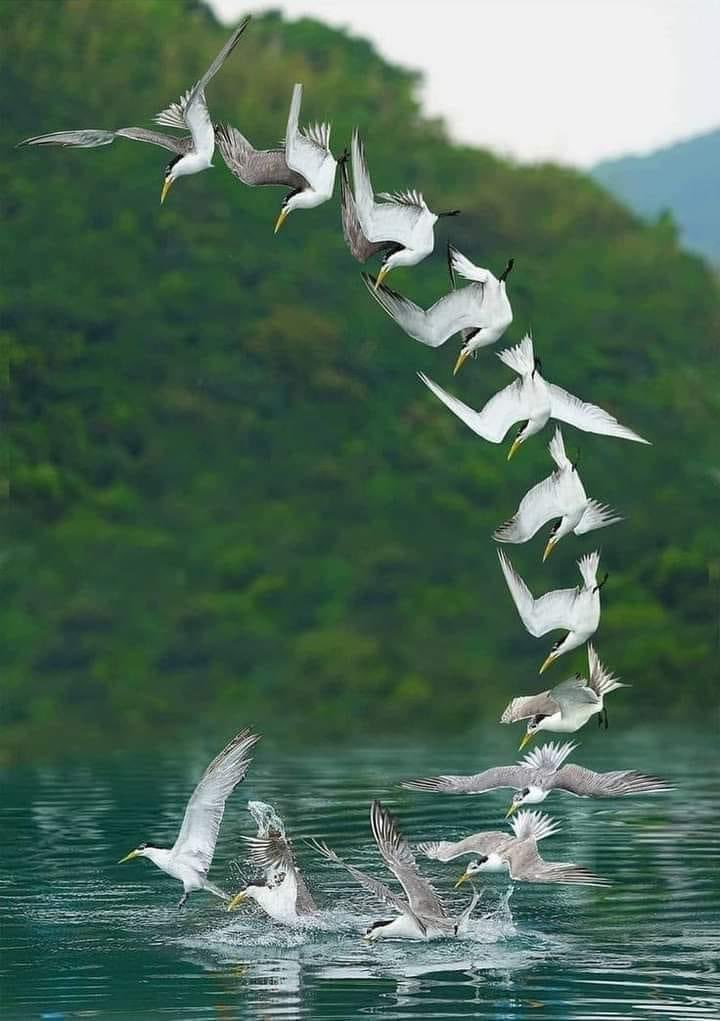 نحن لا نتعلّم الحياة من الآخرين. نتعلّمها من خدوشنا.. ومن كلّ ما يبقى منّا أرضًا بعد سقوطنا ووقوفنا.