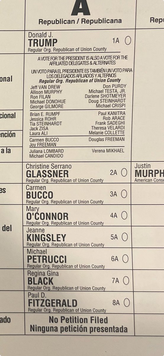 So, this happened today!
Thank you @MarkLevin and @dbongino 
I was never into politics. I even voted for Obama first round.
My name is Paul D. Fitzgerald and I am officially on the ballot with Donald J. Trump!!!
Let’s go!!!!