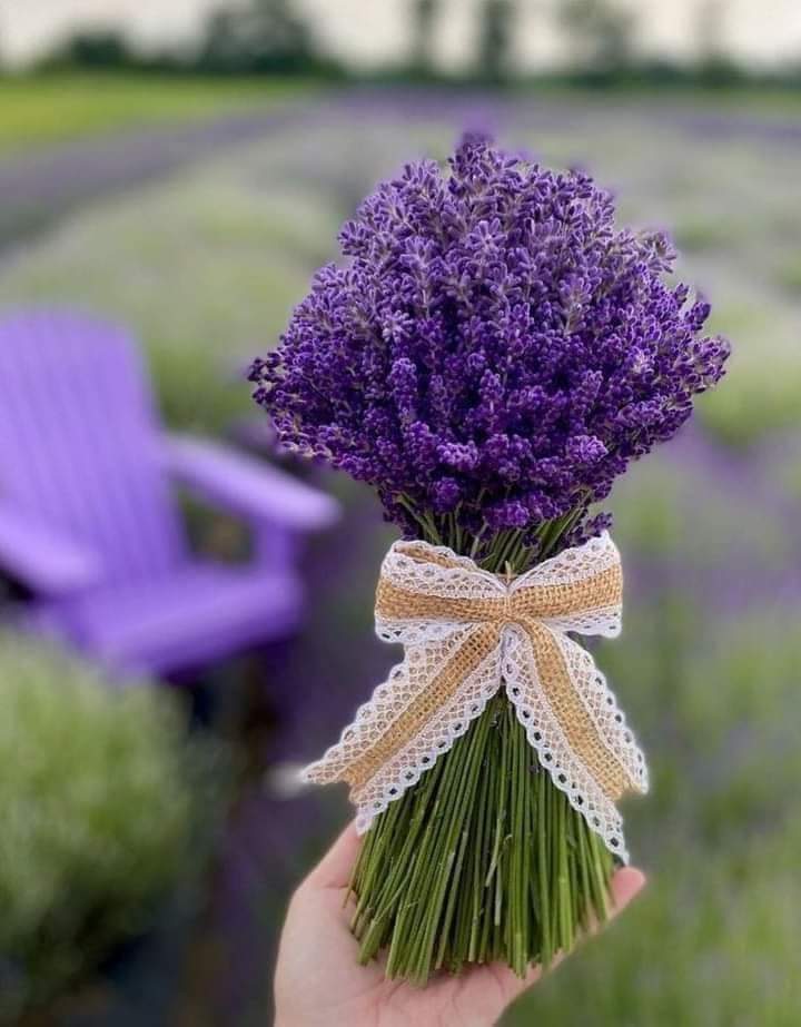 🕊💜 يارب بشرنا بما يسرنا وكف عنا ما يضرنا ، اللهم إنك تسمع أنين قلوبنا ، فارزقنا ما هو خير لنا ، اللهم إنا نسألك من النعمة تمامها ، ومن العافية دوامها ، ومن  الخير أكمله ، ومن اللُطف الجميل أجمله ، اللهم السلام من كل شيءٍ يرهقنا ويضعفنا ويؤذينا .. 🤲🏻🤍
#اللهم_لا_ترد_لنا_دعاء