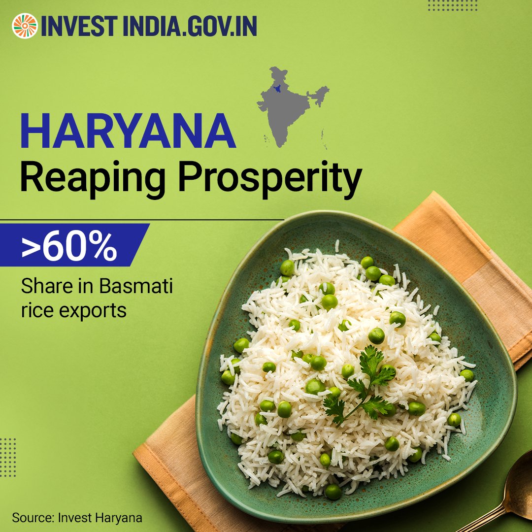 From pulao to biryani, #Haryana's #basmati rice is used worldwide for its fragrant aroma, refined grains & quality, making the state ideal for food enterprises setting up a base in India. 🌾🍚 Discover more: bit.ly/II-Haryana #InvestInHaryana #InvestInIndia #InvestIndia