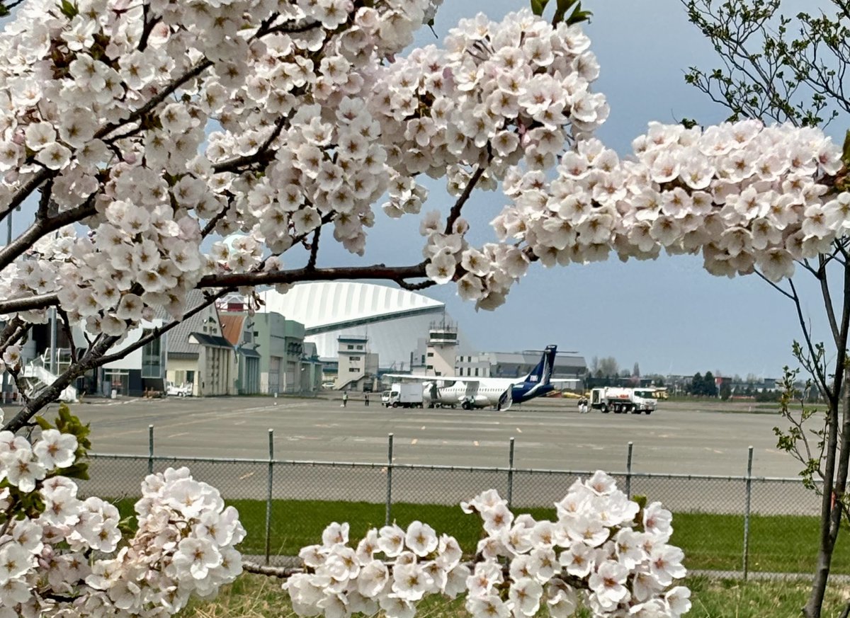 満開の桜🌸の下、トキエアの飛行機は出発の準備をしているようです。
美しい桜に見送られ、もう間もなく出発ですね🛫
トキエアで行く空の旅、新潟、札幌、仙台、皆さんの訪れたい場所はどこですか？
是非コメント欄で教えてください😊

Thank you for the nice photos🌸
