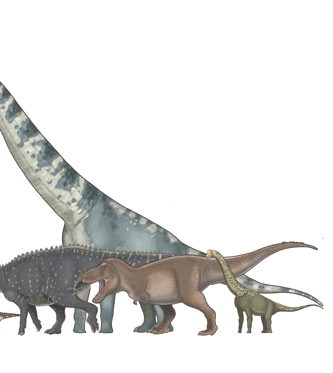 Dinosaur reconstruction that I have completed so far