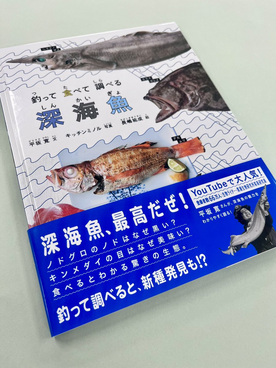 たくさんのふしぎ編集部 в X: „傑作集版『釣って食べて調べる深海魚 