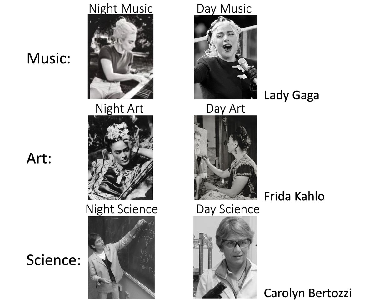 How should we inspire kids about the creativity involved in science? I talked with 6th graders today about our lab's research and I described how science is as creative as music & painting. All of them have both the executive ('day') modes, and the wild & creative ('night') mode.